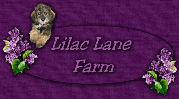 Lilac Lane Farm