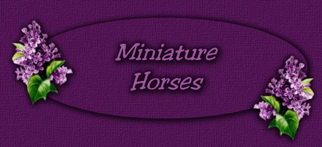 Lilac Lane Farm Miniature Horses