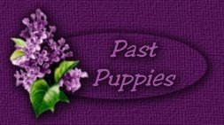 Past Puppies